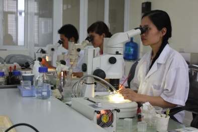 Việt Nam có bao nhiêu người làm nghiên cứu ?